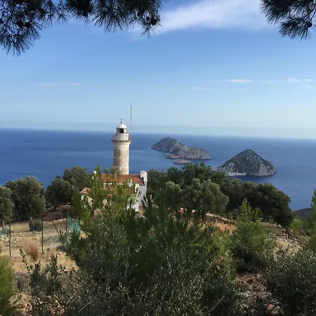 Ford Ξενοδοχείο Adrasan